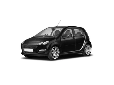 SMART FORFOUR (454), 01.04 - 06.06 частин