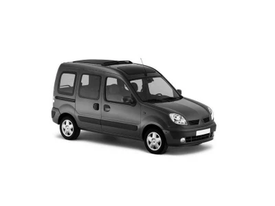 RENAULT KANGOO, 05.03 - 07 автозапчастини