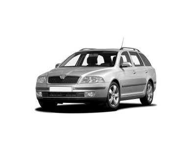 SKODA OCTAVIA, 04 - 08 автозапчастини