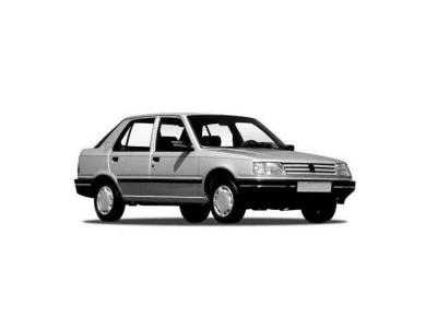 PEUGEOT 309 (10A/10C/3A/3C), 86 - 93 автозапчастини