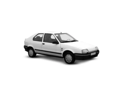 RENAULT 19, 01.89 - 05.92 автозапчастини