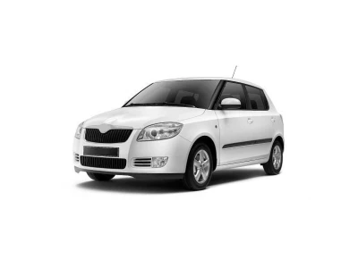 SKODA FABIA (5J), 03.07 - 04.10 автозапчастини