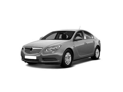 OPEL INSIGNIA (G09), 09.08 - 12.13 автозапчастини