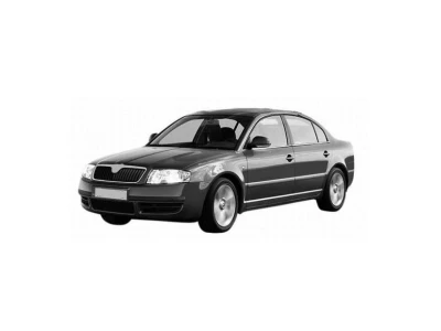 SKODA SUPERB, 02 - 08 автозапчастини