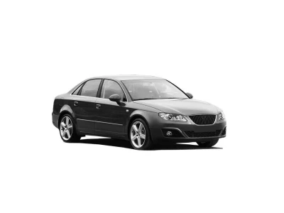 SEAT EXEO (3R2), 12.08 - 08.13 автозапчастини