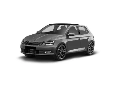 SKODA FABIA, 14 - 21 автозапчастини