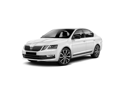 SKODA OCTAVIA (5E), 17 - 19 автозапчастини