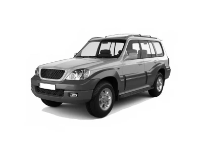 HYUNDAI TERRACAN (HP), 01.04 - 09.06 автозапчастини