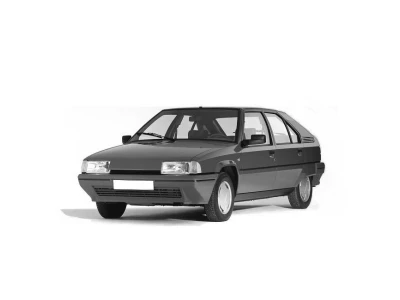 CITROEN BX (XB), 04.83 - 11.94 автозапчастини